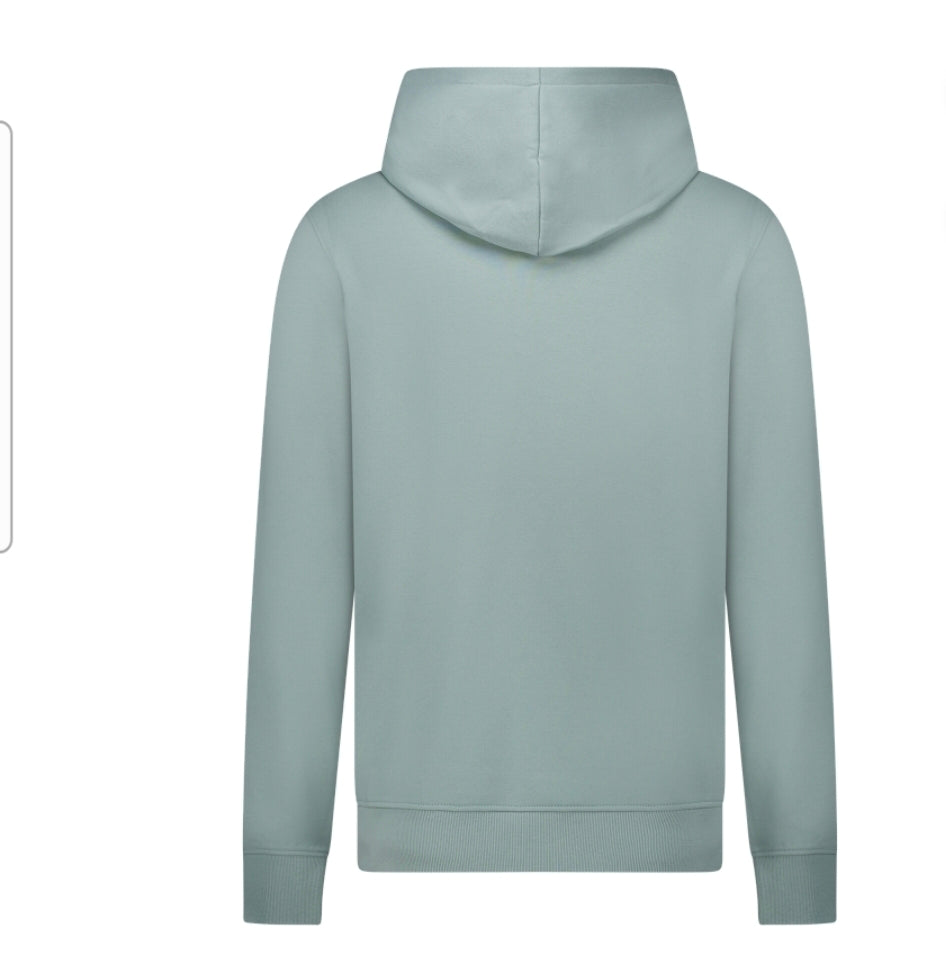 Heren Tylo sw Hoody | Mint
