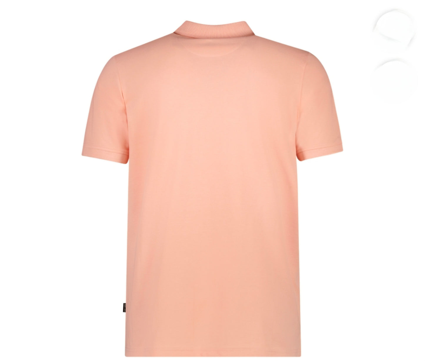 Dario polo | Coral